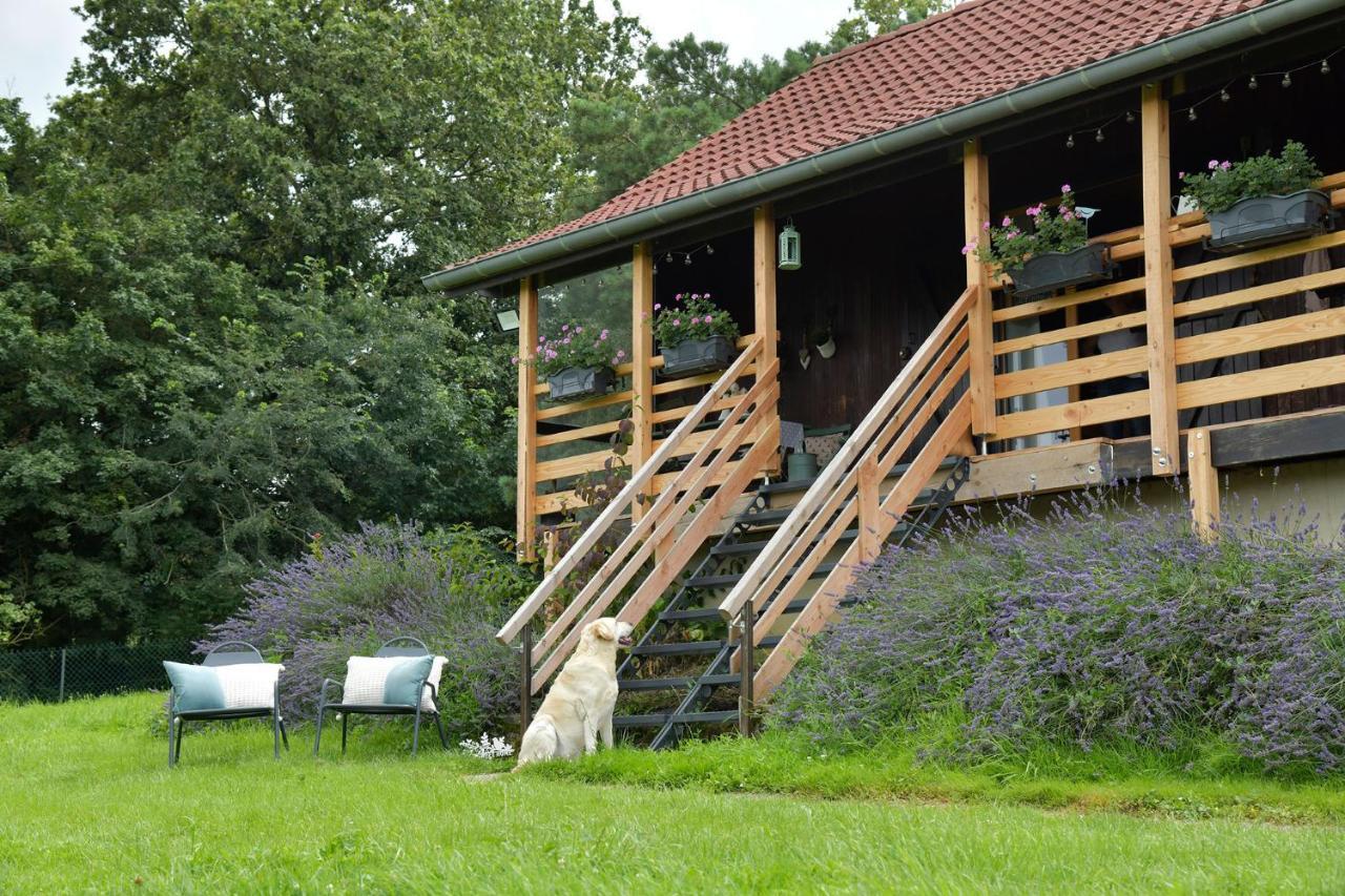 Le Chalet D'Eliot Chevigny  Dış mekan fotoğraf